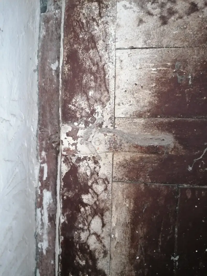 Vila Vrioni restoration, July 2021